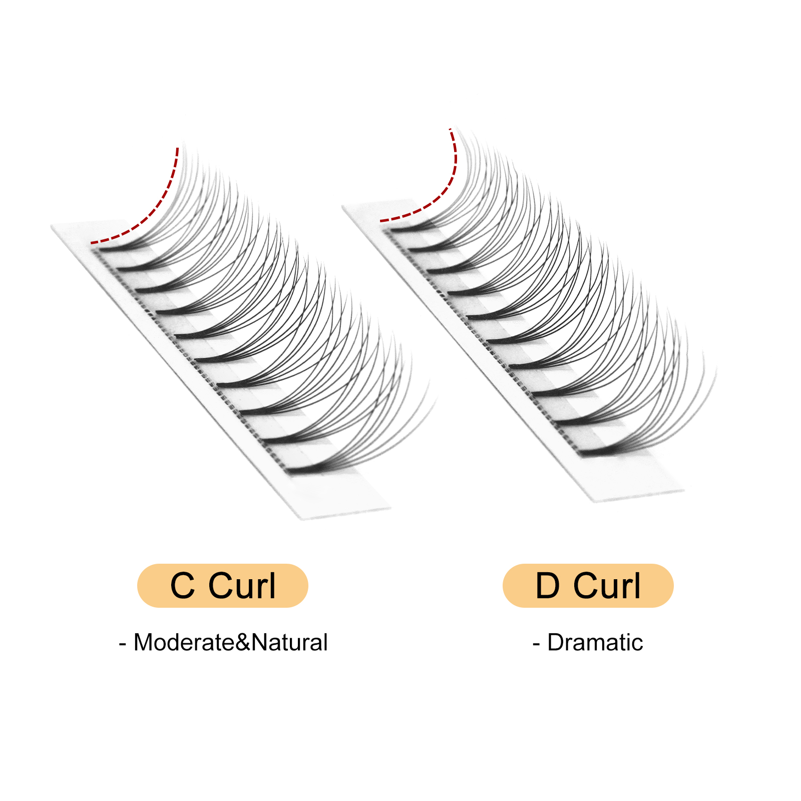 Quewel Premade แฟนขนตา 8D/6D/5 - Eyelash Extension C Curl บทวิจารณ์และราคา