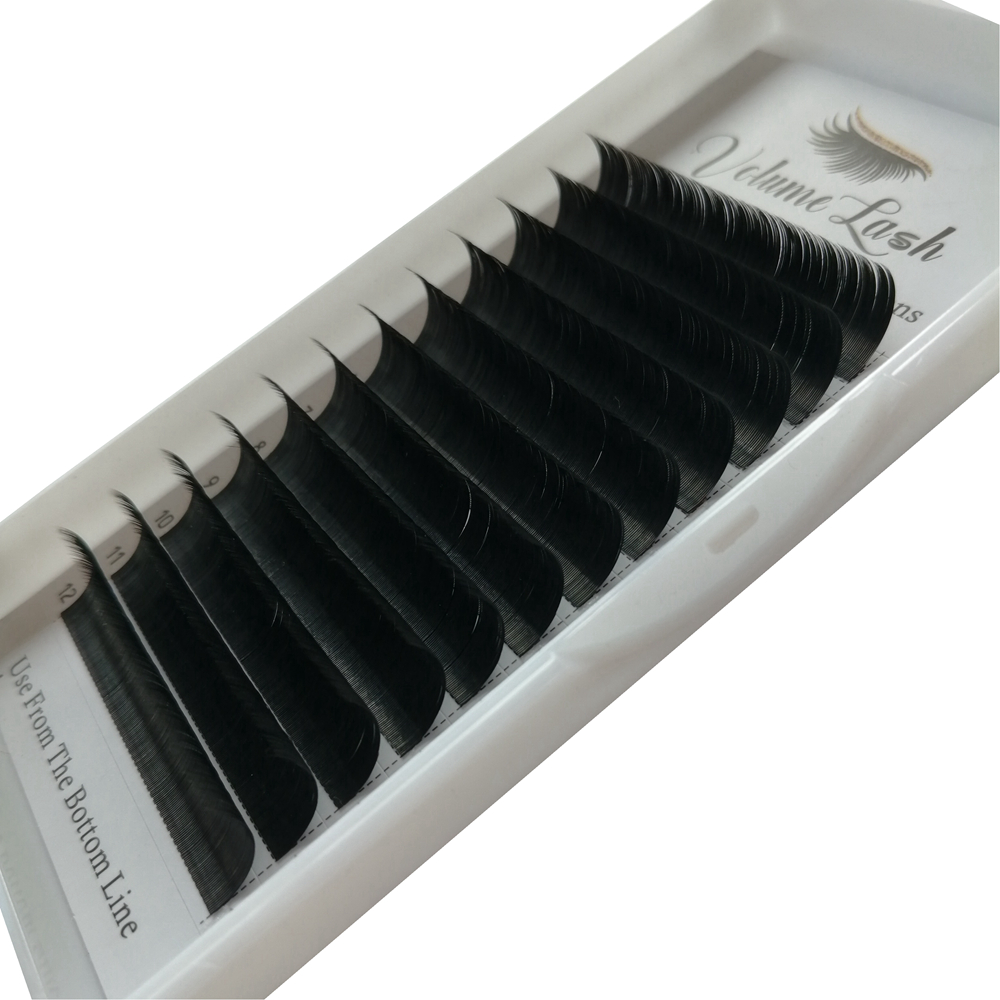 Ellipse FLAT Eyelashes Lash Ex - Eyelash Extension C Curl บทวิจารณ์และราคา